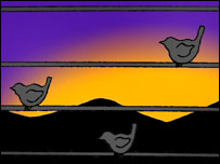 Telegraph Chorus by Aaron Furr (detail)