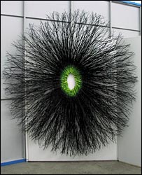 Aurora by Barbara Leaney