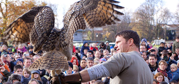 Steve Backshall at Deadly Day Out