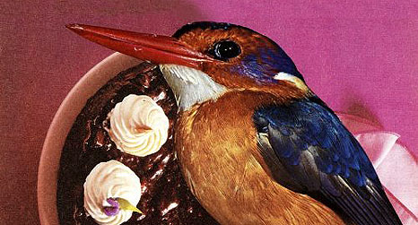 Race Horses - Goodbye Falkenburg