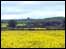 Coneysthorpe