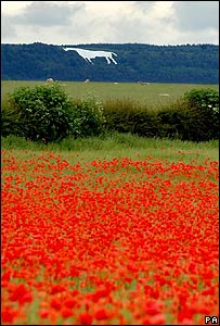 英格兰瑟斯克附近的“白马”