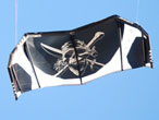 Skull and crossbones kite