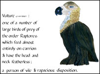 Vulture 