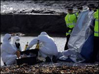 Peritos examinam local onde cabeça foi encontrada