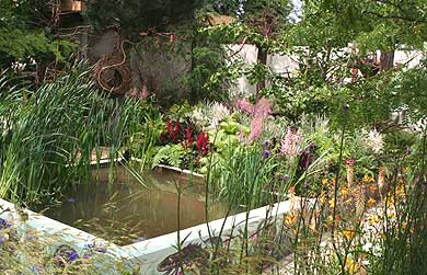 The Growing Schools Garden