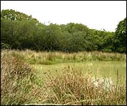 Vealand Farm nature reserve