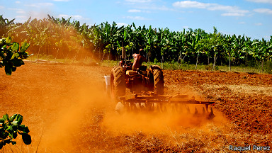 Agricultor en un tractor (Foto: Raquel Pérez)