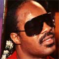 Stevie Wonder: now available in audio description