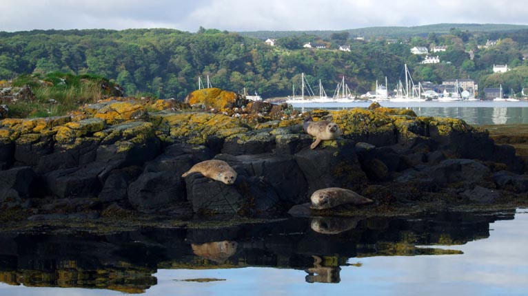 Ròin a' gabhail na grèine ann an Tobar Mhoire