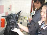 Chó thích nhất lúc được tắm