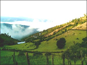 عکس از سید وحید حسینی