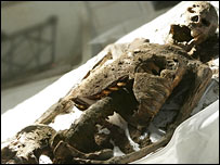 Skeleton