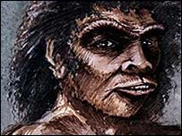 Ancestrais humanos teriam usado galhos para limpar a boca