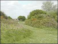 Take the route through the trees