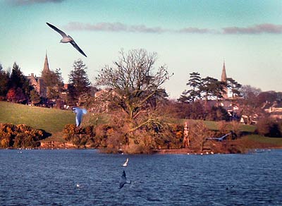 The Black Lough, Co. tyrone