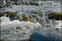 دريای هريرود