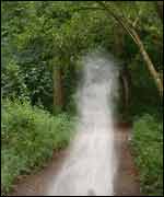 A spooky lady in a wood