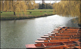 Punting on the river Cam