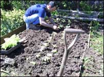 Planting in Campbeltown Community Garden