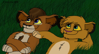 Lion cubs star-gazing