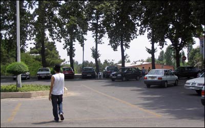 عکس از حامد