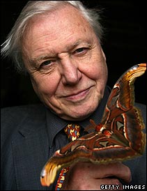 David Attenborough holds a Giant Atlas moth