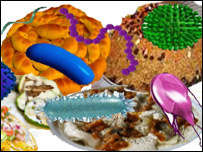 خوراكي مسموميت 