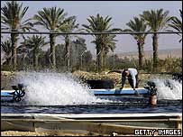 Fazendeiro em kibbutz no deserto de Negev, Israel. Foto: Arquivo