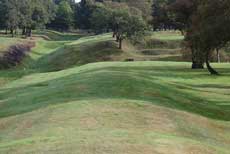 Antonine Wall with Rough Castle in the background