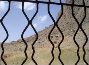 عکس از دلارام