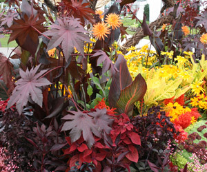 Bournemouth Borough Council Flower Bed