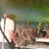 Lamacq In The City, Exeter - Oct 2006