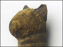 Múmia de gato