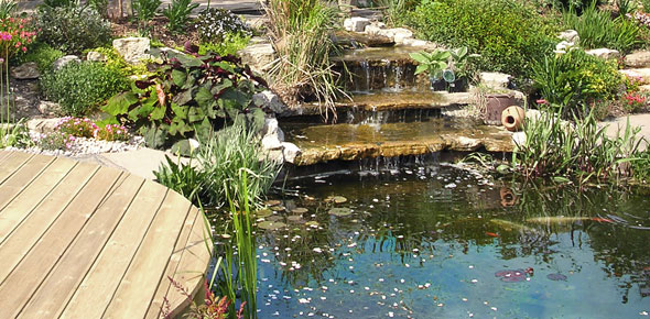 water garden feature