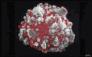 Um glóbulo branco sendo atacado pelo vírus HIV