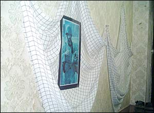 عکس از عليرضا قراگوزلو