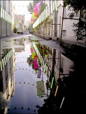 عکس از مسعود فتاحی