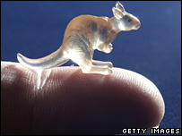 Một con Kanguroo nhỏ tạc từ đá cứng 