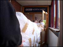 The cow is delivered to the BBC studios