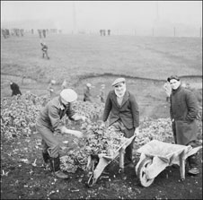 Glen Mill camp in Oldham
