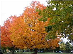 عکس از فرزانه عبدالاهی