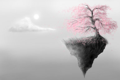 Cherry blossom skies