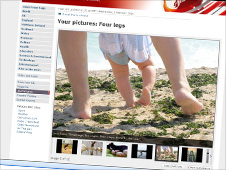 Your pictures on the theme of four legs