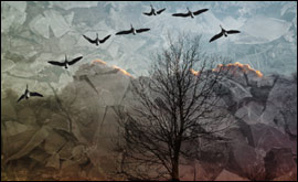 Sunset (Pocklington)