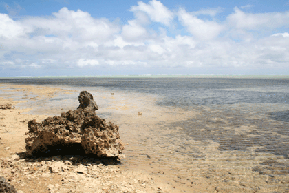 blog0756.gif