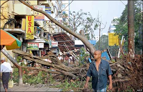 Cây bật gốc ở thành phố Rangoon