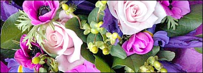  برنامه های تفریحی