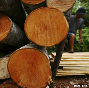 Illegal timber in Indonesia (Image: Reuters)