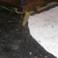 Water damaged carpets